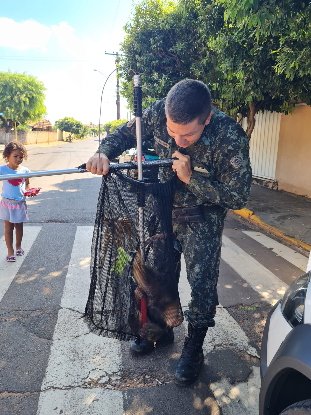 TAMANDUÁ É ENCONTRADO NO CENTRO DE SANTÓPOLIS DO AGUAPEÍ