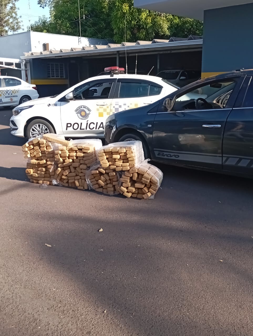 Menor é apreendido com 214 quilos de maconha em rodovia