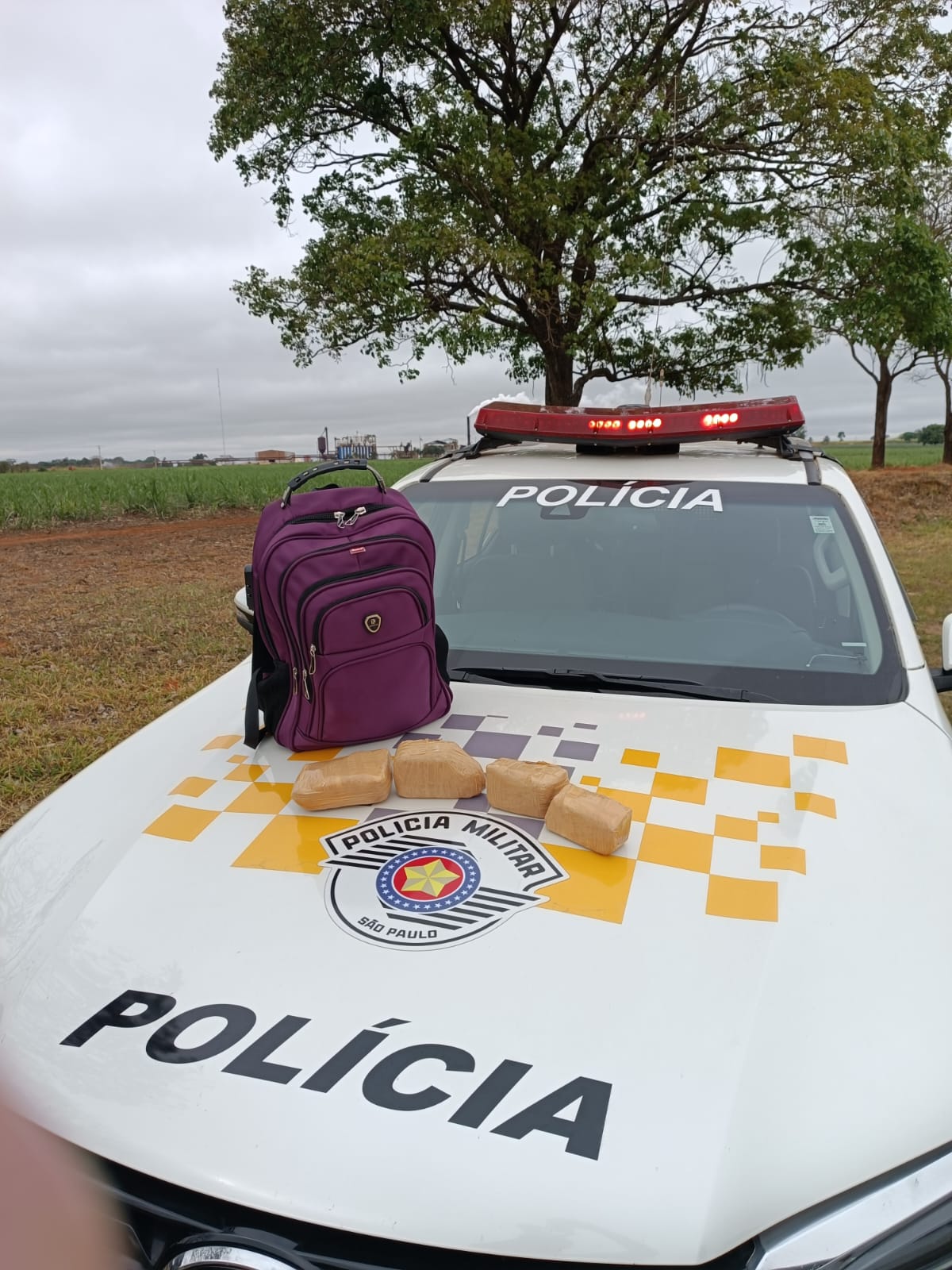 Polícia Militar Rodoviária prende mulher por tráfico de drogas.