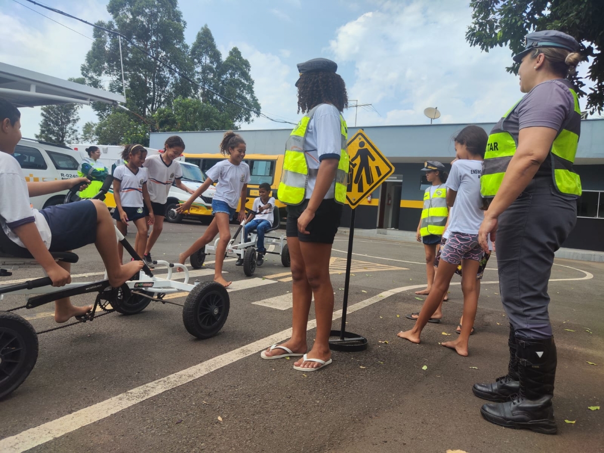 AÇÃO EDUCATIVA RODOVIA MIRIM